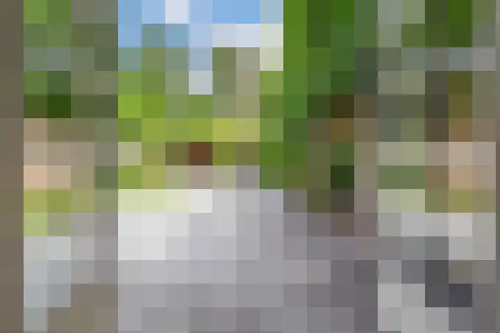 Molenaar 10 Laren thumbnail 17