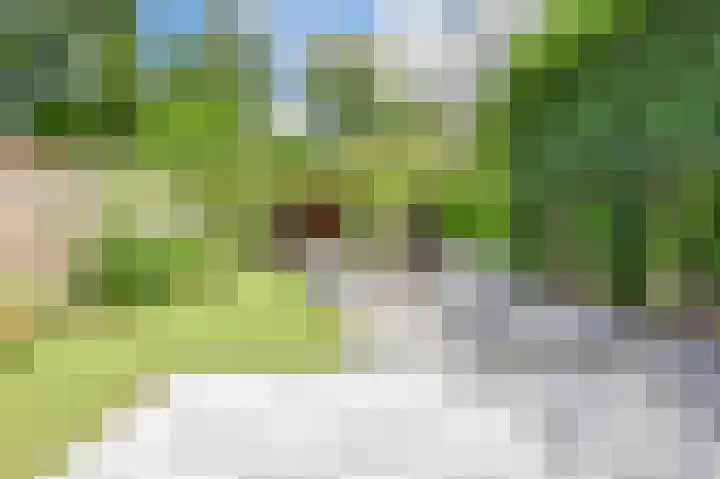 Molenaar 10 Laren thumbnail 18