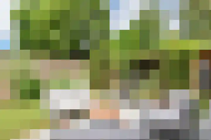 Molenaar 10 Laren thumbnail 19