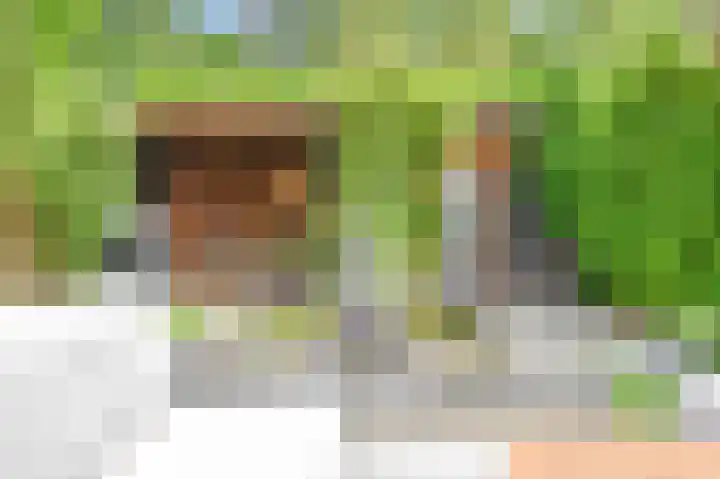 Molenaar 10 Laren thumbnail 20