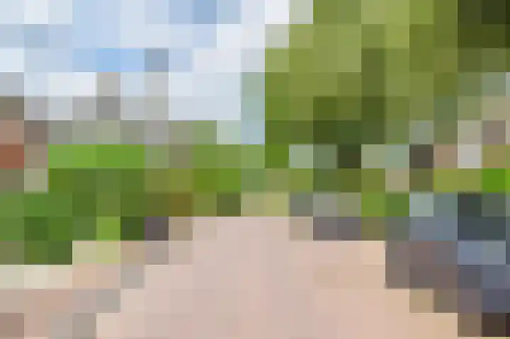 Molenaar 10 Laren thumbnail 4