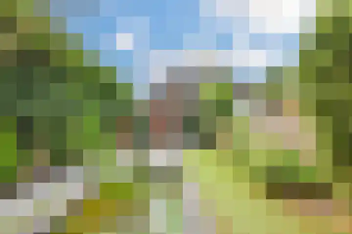 Molenaar 10 Laren thumbnail 6