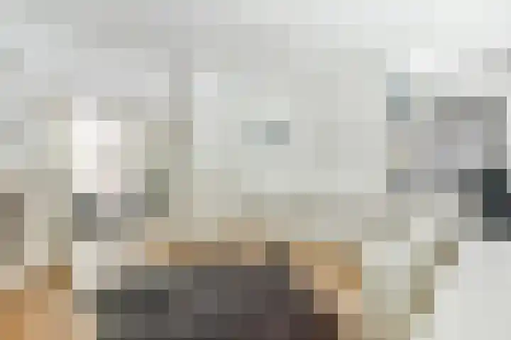 Molenaar 10 Laren thumbnail 7