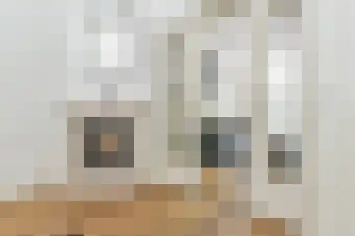 Molenaar 10 Laren thumbnail 9