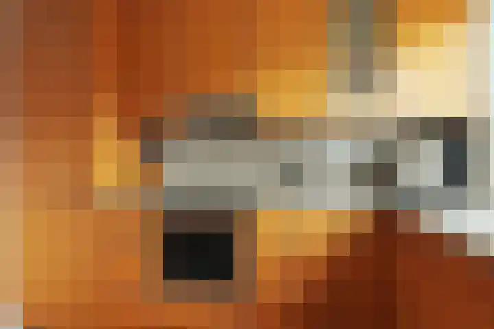 Molenaar 10 Poortugaal thumbnail 13
