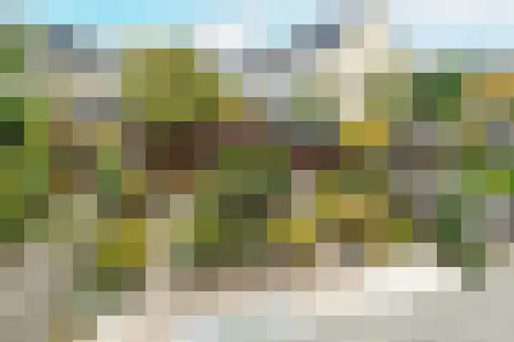 Molenaar 10 Poortugaal thumbnail 31
