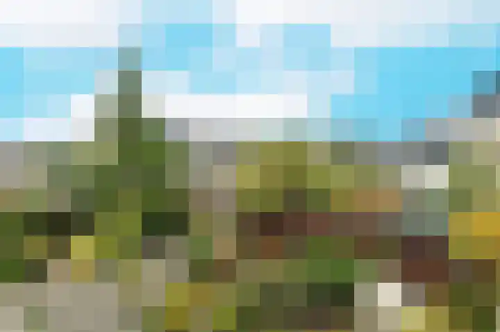 Molenaar 10 Poortugaal thumbnail 32