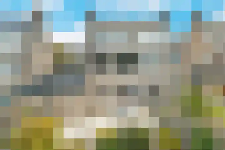 Molenaar 10 Poortugaal thumbnail 37
