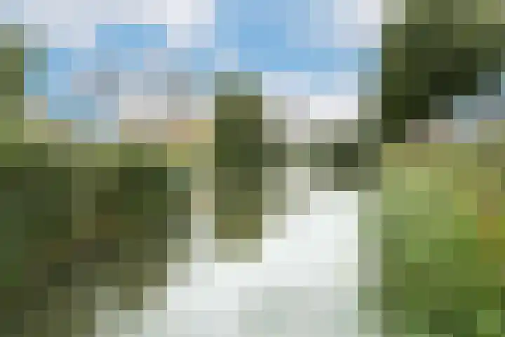 Molenaar 10 Poortugaal thumbnail 39