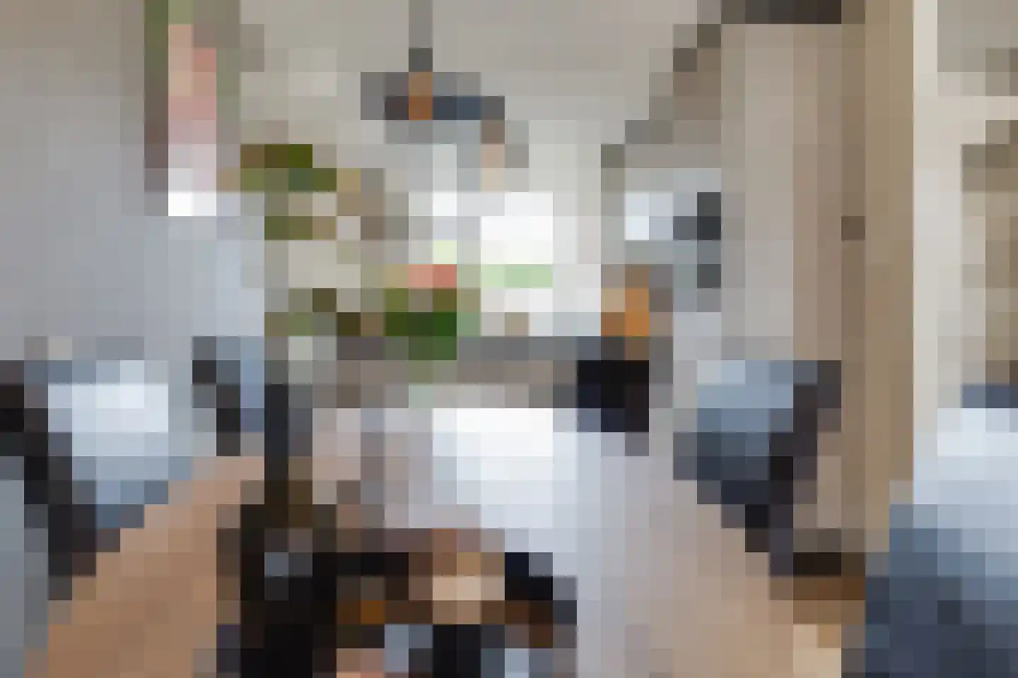 Molenaar 32 Groenlo thumbnail 10