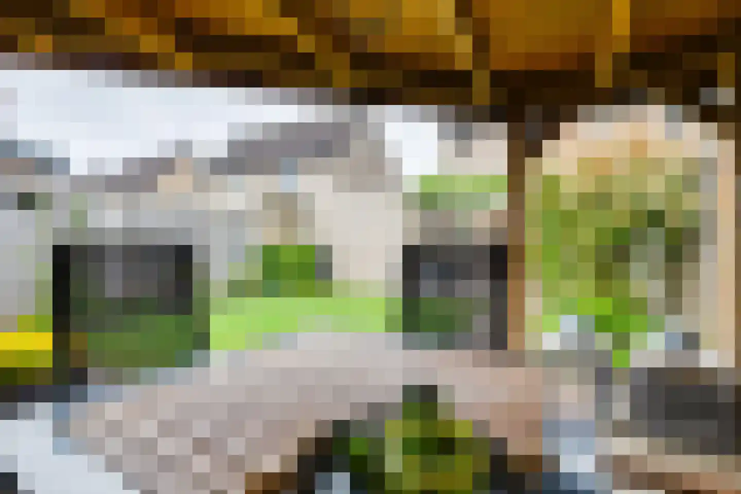 Molenaar 32 Groenlo thumbnail 4
