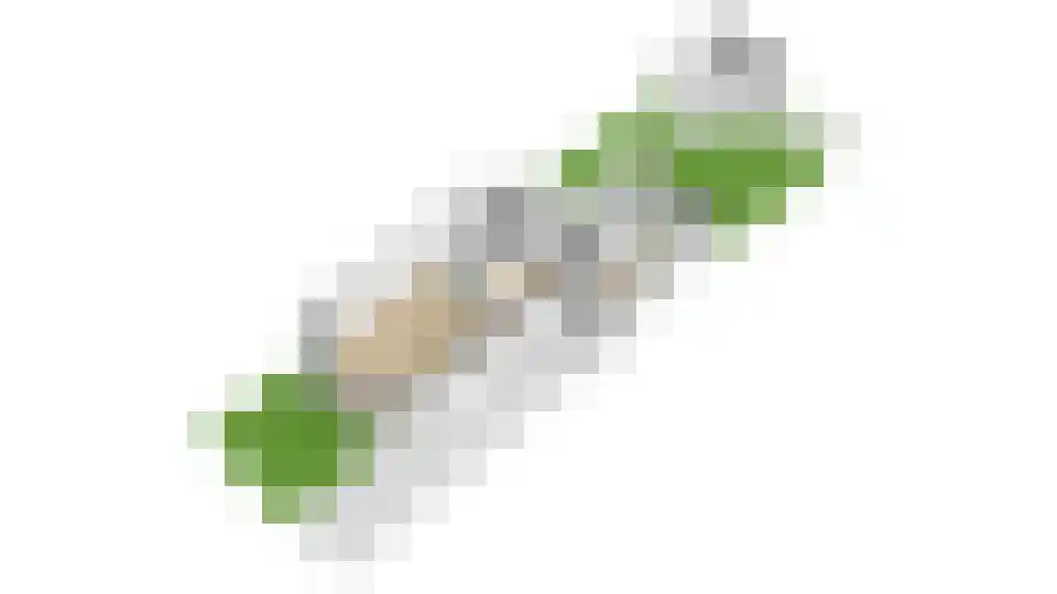 Molenaar 32 Groenlo thumbnail 43