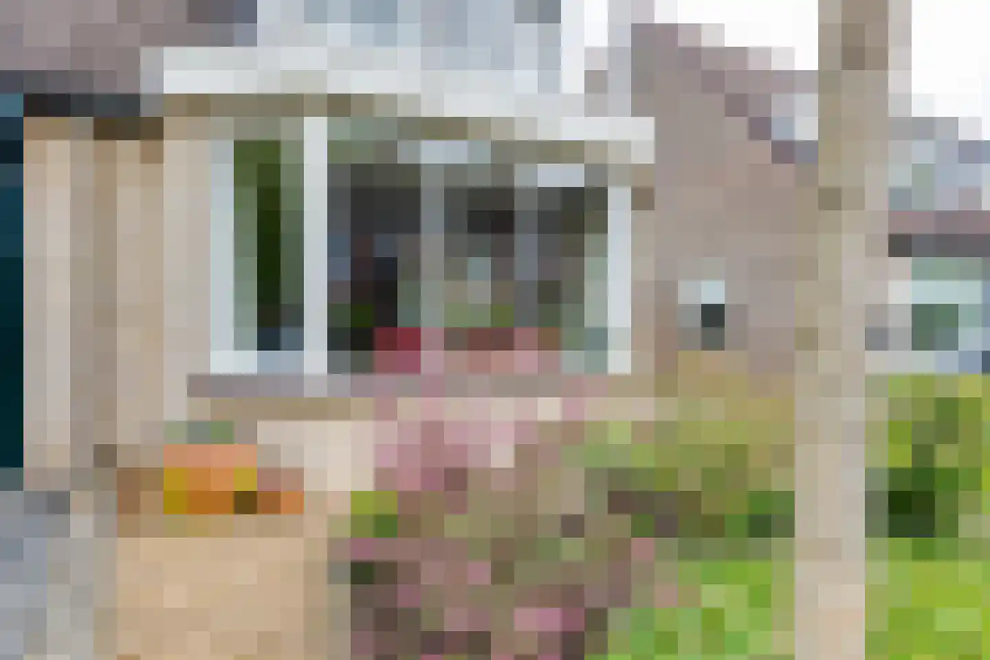 Molenaar 32 Groenlo thumbnail 7