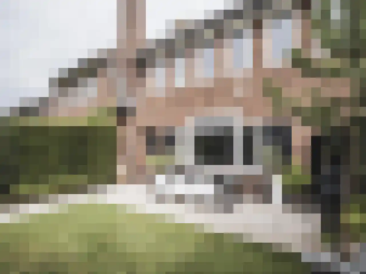 Molenaar 6 in Laren