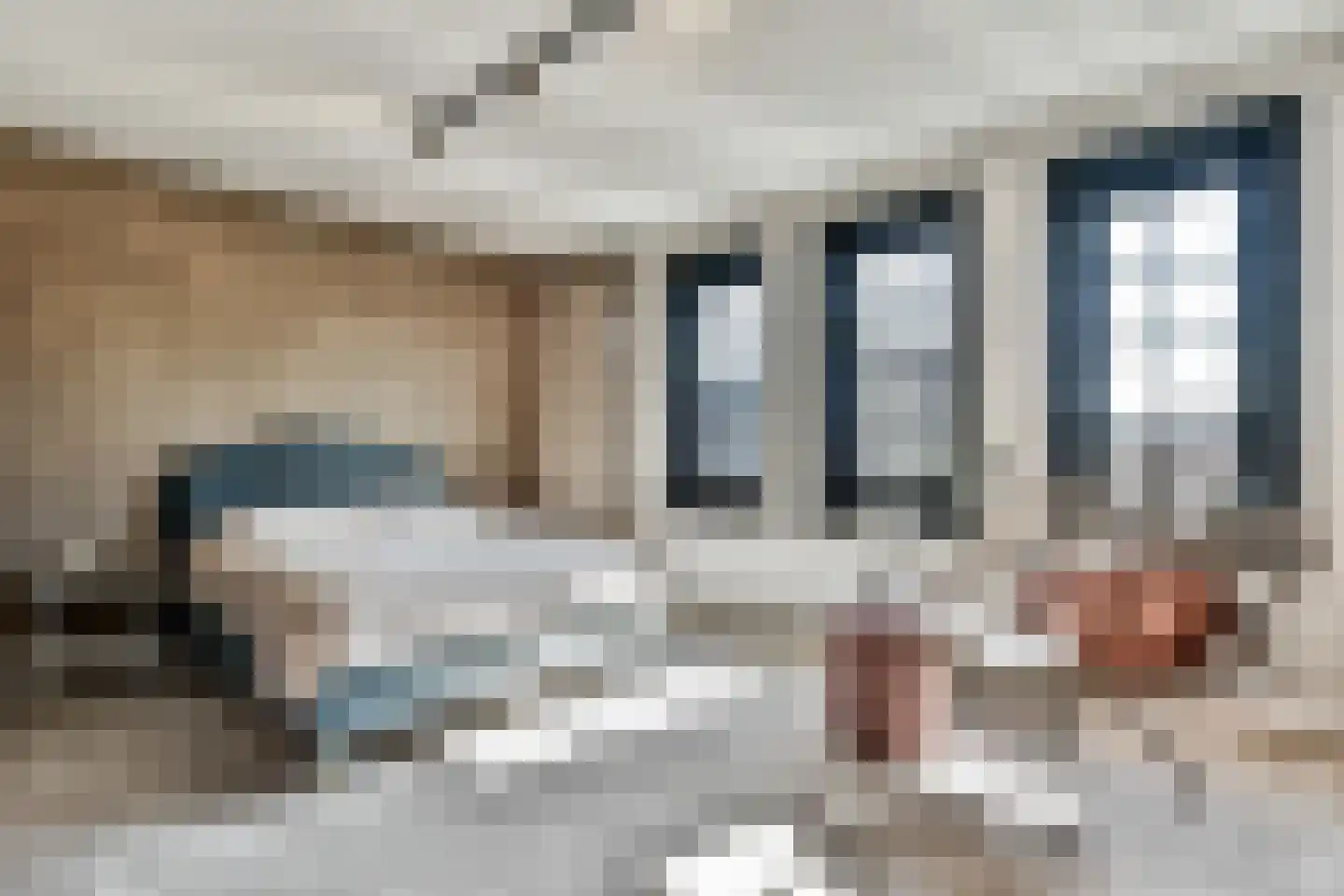 Molenaar 6 Laren thumbnail 20