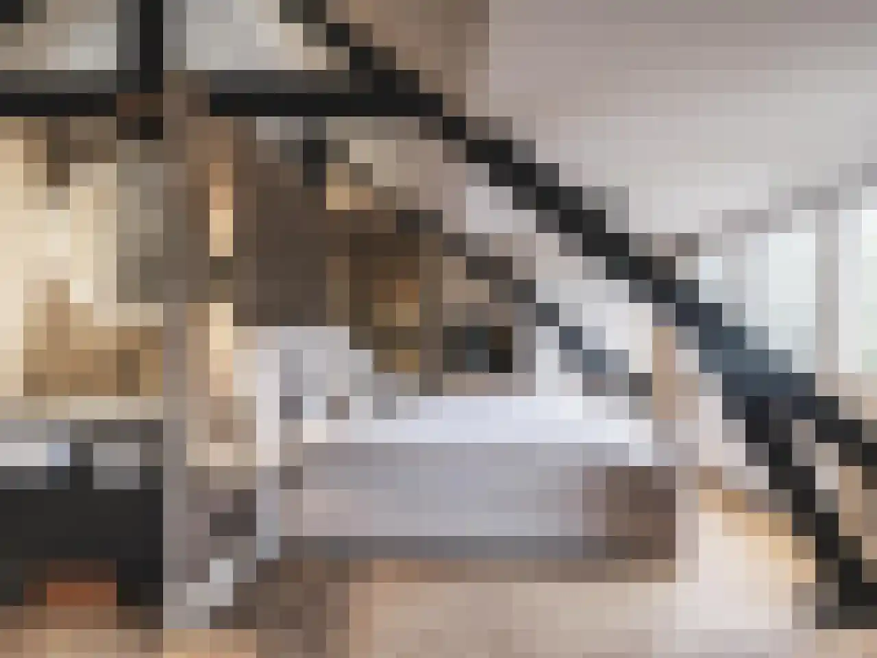 Molenaar 6 Laren thumbnail 29