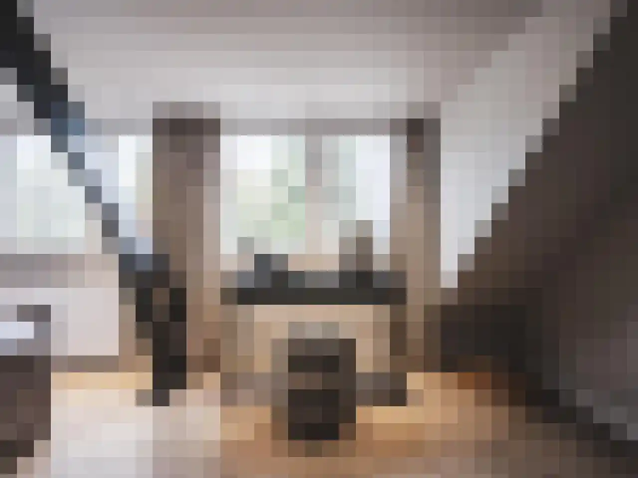 Molenaar 6 Laren thumbnail 32