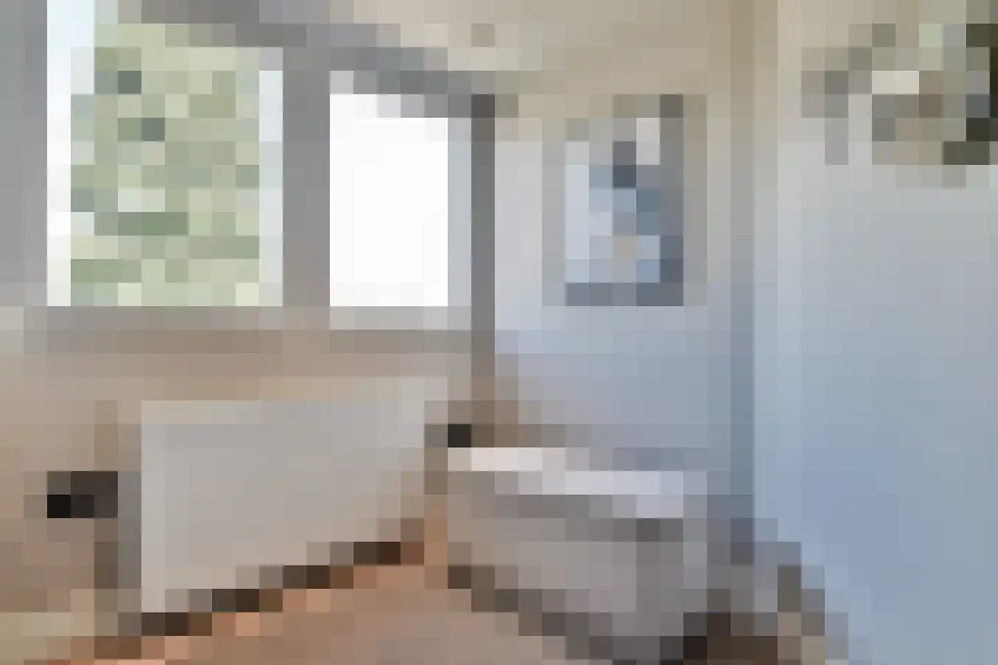 Molenaar 6 Laren thumbnail 37