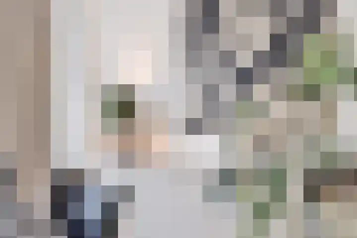 Molenaar 6 Laren thumbnail 8