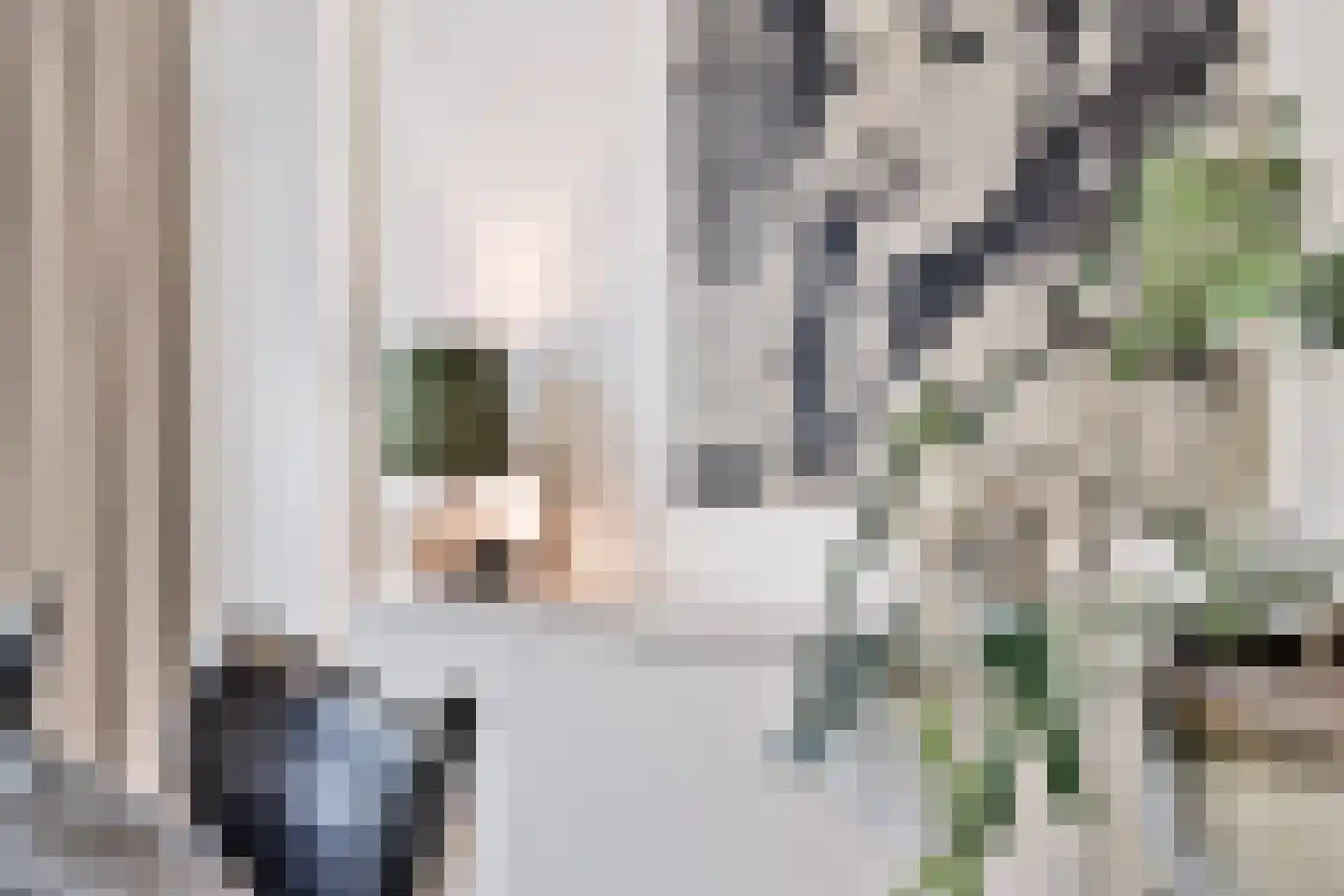Molenaar 6 Laren thumbnail 8