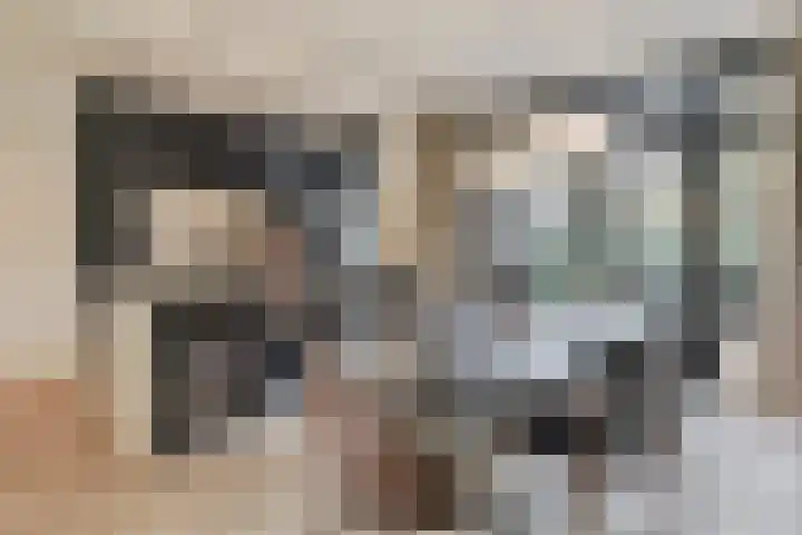 Molenaar 6 Laren thumbnail 9