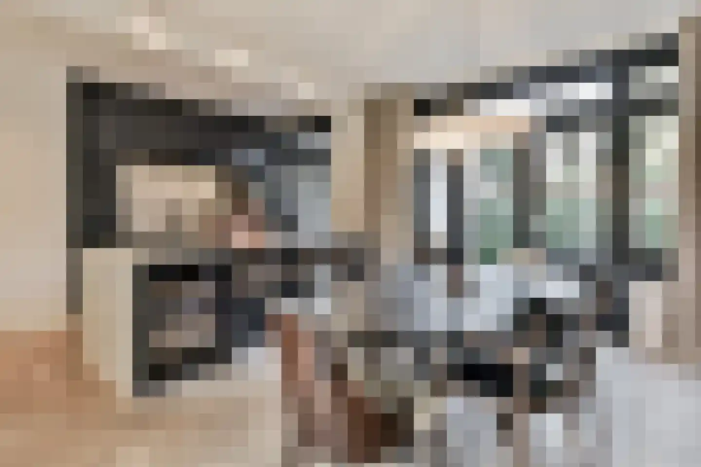 Molenaar 6 Laren thumbnail 9