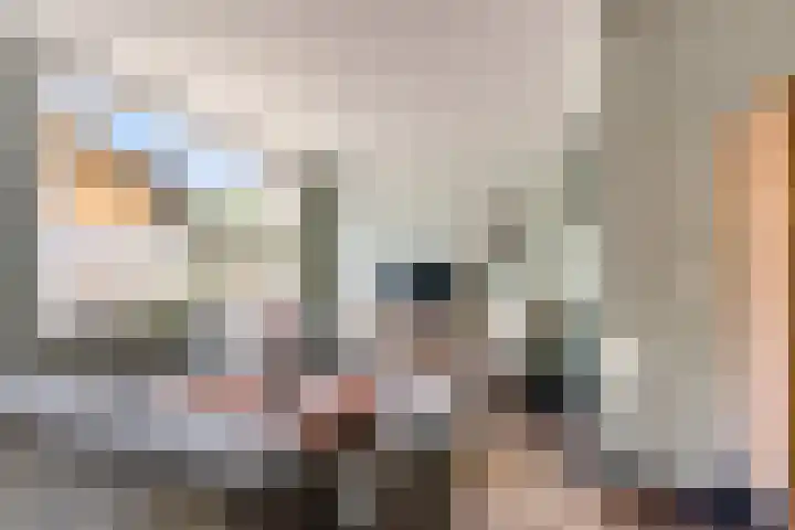Molenaar 8 Groenlo thumbnail 12