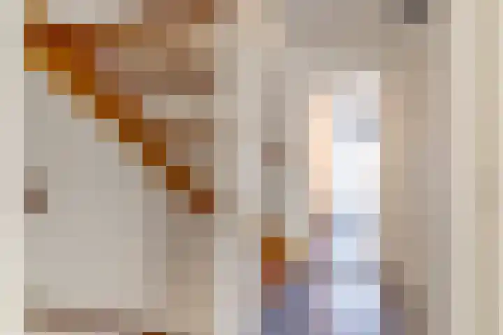 Molenaar 8 Groenlo thumbnail 22