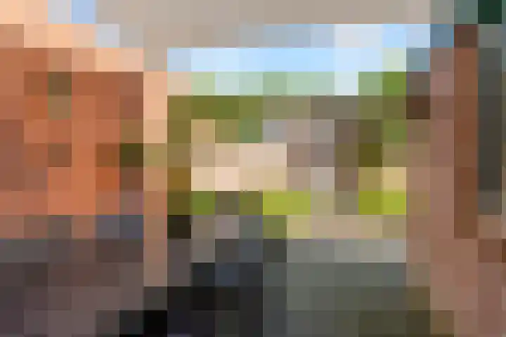 Molenaar 8 Groenlo thumbnail 36