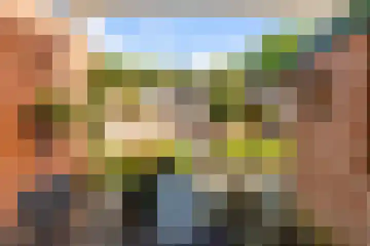 Molenaar 8 Groenlo thumbnail 38