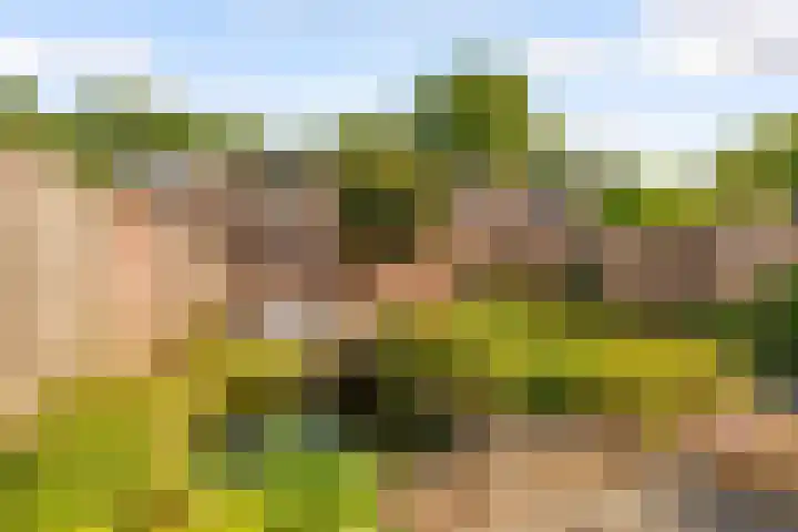 Molenaar 8 Groenlo thumbnail 39
