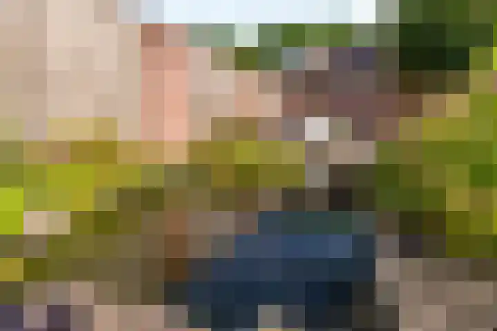 Molenaar 8 Groenlo thumbnail 41
