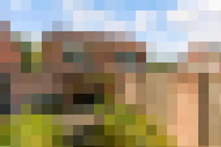 Molenaar 8 Groenlo thumbnail 42