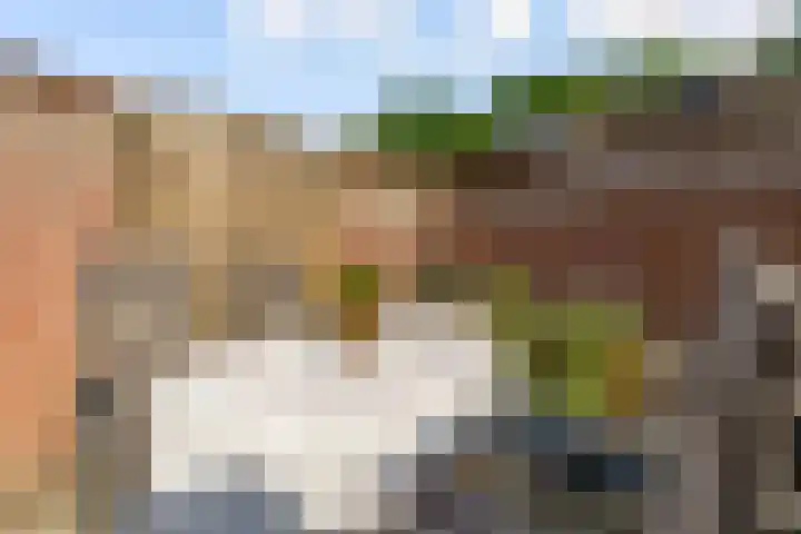 Molenaar 8 Groenlo thumbnail 43