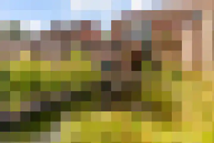 Molenaar 8 Groenlo thumbnail 44