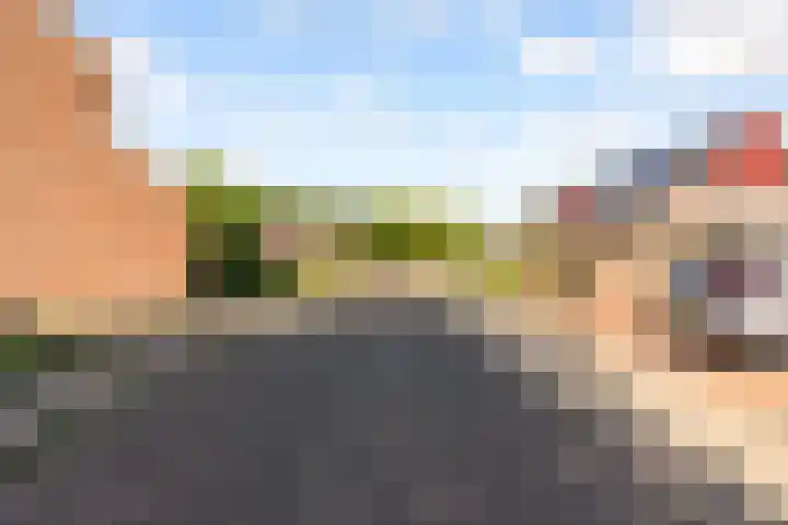 Molenaar 8 Groenlo thumbnail 46