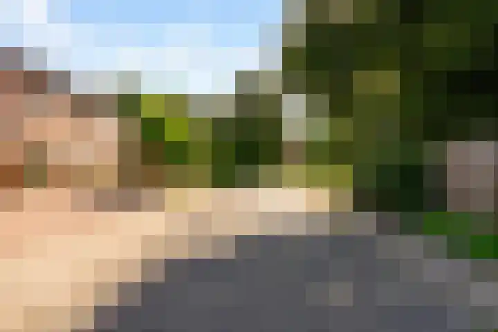 Molenaar 8 Groenlo thumbnail 47