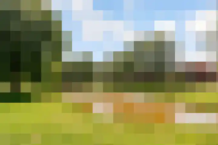 Molenaar 8 Groenlo thumbnail 48