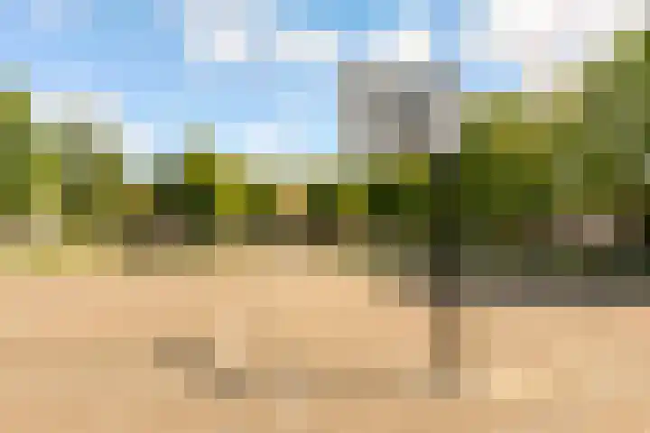 Molenaar 8 Groenlo thumbnail 49