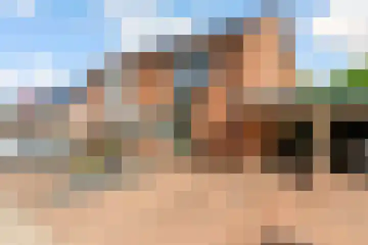 Molenaar 8 Groenlo thumbnail 5