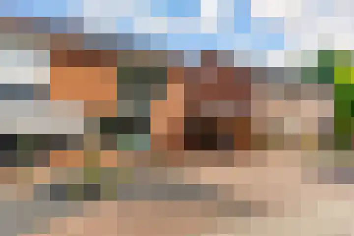 Molenaar 8 Groenlo thumbnail 6