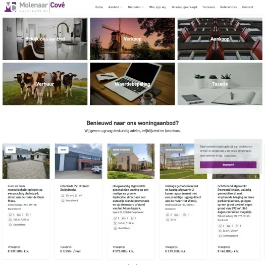 Screenshot of the website of www.molenaarcove.nl