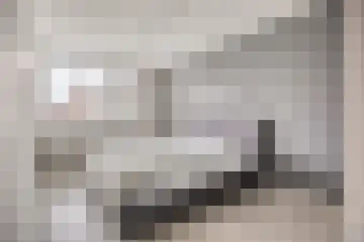Molenaar Van Schelvenlaan 22 Krimpen aan den IJssel thumbnail 13