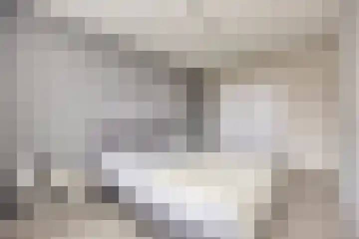 Molenaar Van Schelvenlaan 22 Krimpen aan den IJssel thumbnail 14