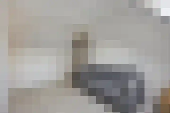 Molenaar Van Schelvenlaan 22 Krimpen aan den IJssel thumbnail 16