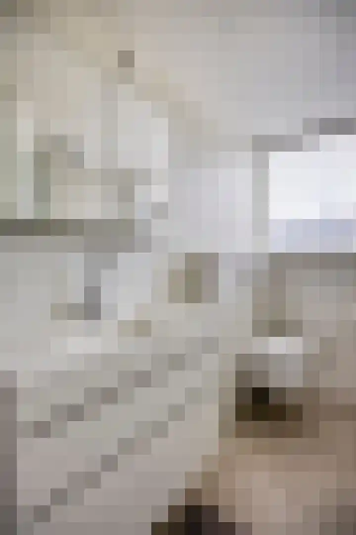 Molenaar Van Schelvenlaan 22 Krimpen aan den IJssel thumbnail 18