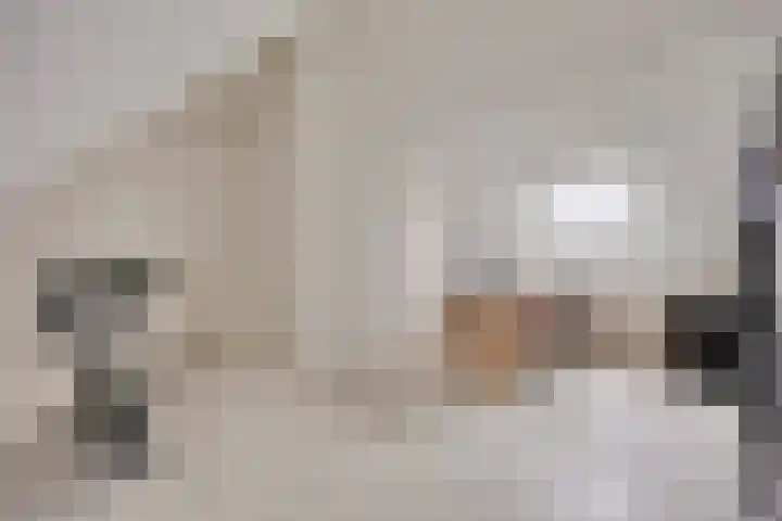 Molenaar Van Schelvenlaan 22 Krimpen aan den IJssel thumbnail 22