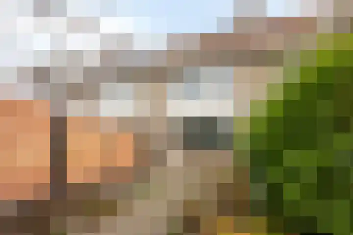 Molenaar Van Schelvenlaan 22 Krimpen aan den IJssel thumbnail 24