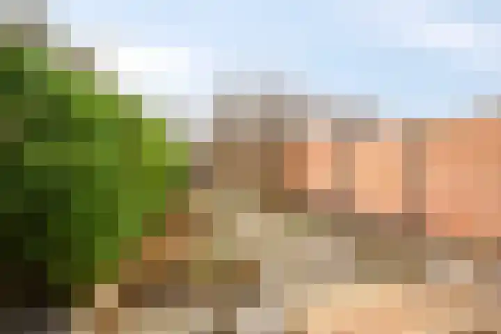 Molenaar Van Schelvenlaan 22 Krimpen aan den IJssel thumbnail 25