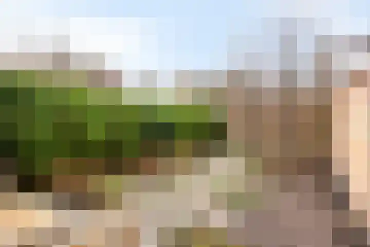 Molenaar Van Schelvenlaan 22 Krimpen aan den IJssel thumbnail 26